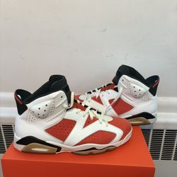 Gatorade Jordan 6s