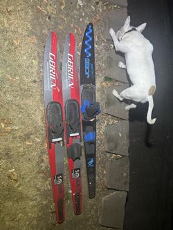 Skis