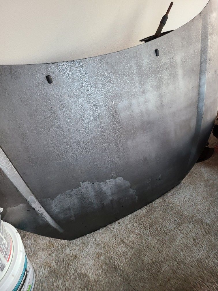 2000-2007 Ford Focus Hood