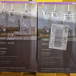 Light Fixtures; Vallymede Mini Pendant by Allen + Roth