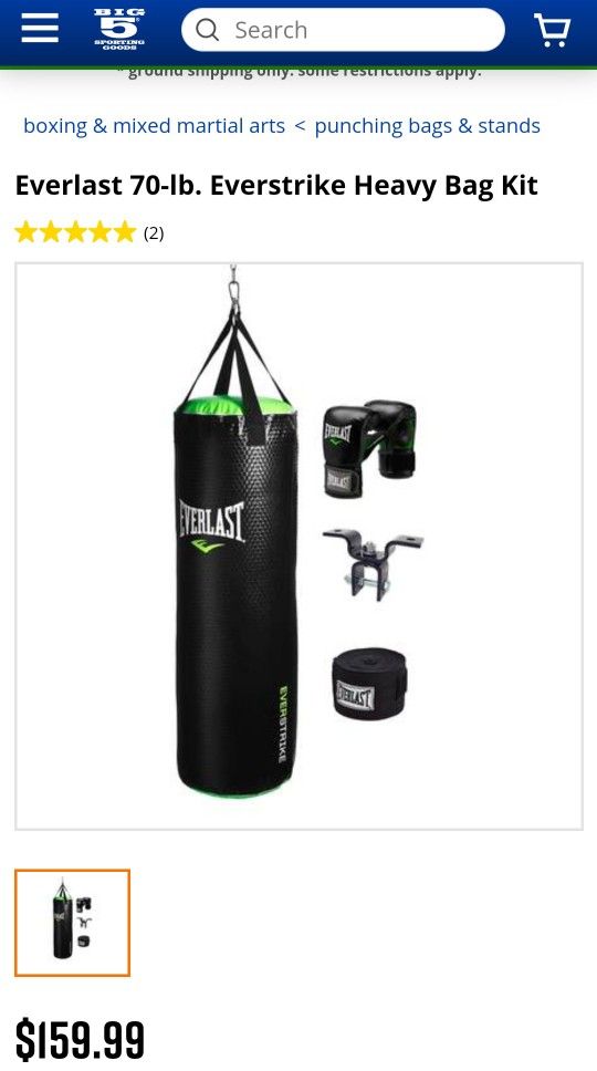 Everlast Boxing Bag