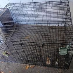 Rabbit Cage