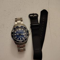 Citizen Pro Master Eco Drive Dive Watch 