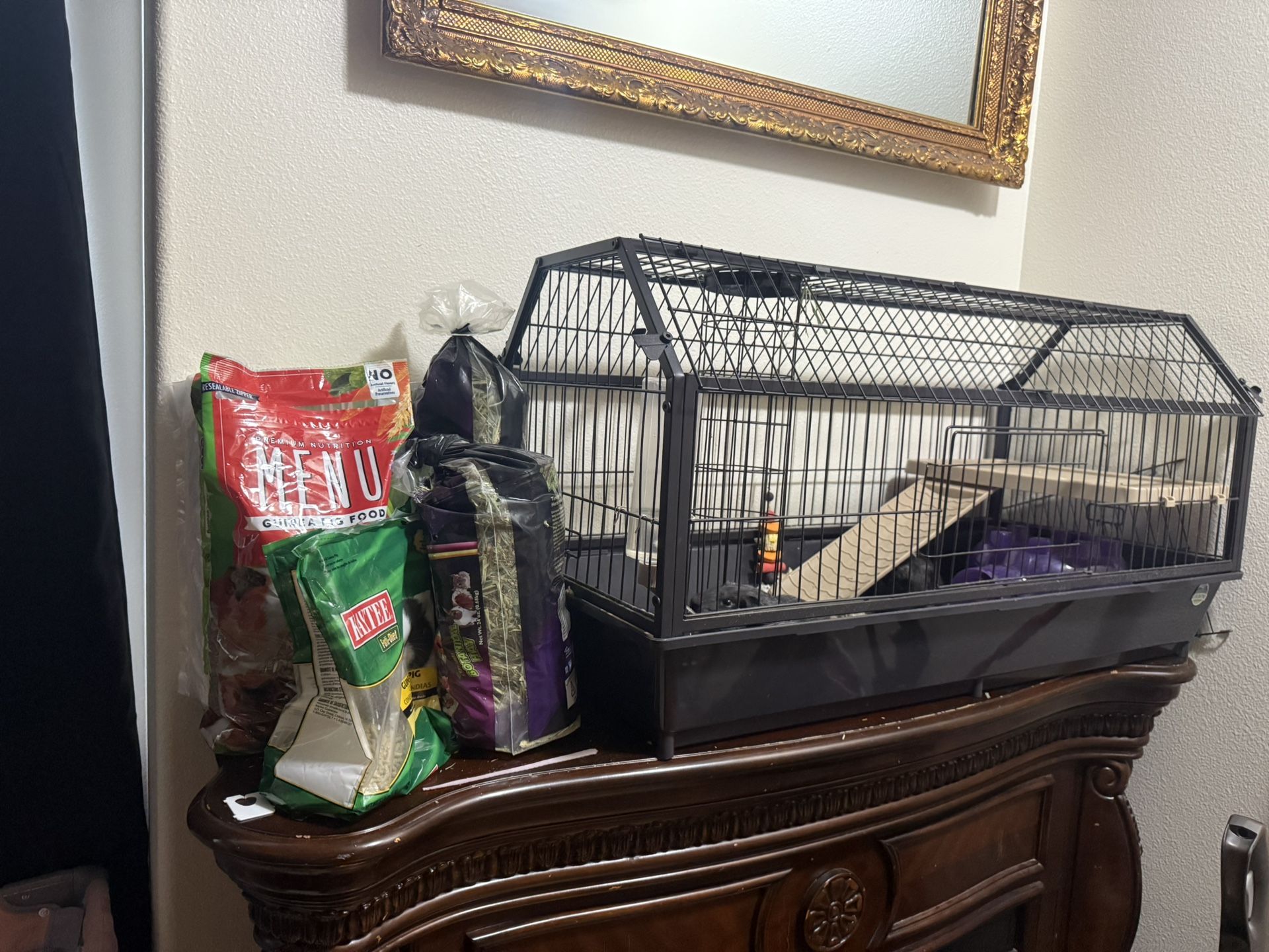 2 Guinea pigs With Cage And Supplies