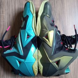 Lebron's Size 11 -60$