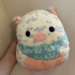 Rare Squishmallow Pig
