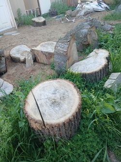 Wood trunks