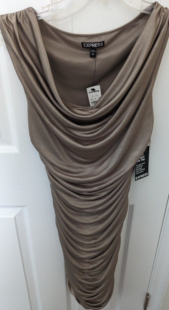 Express Silver Dress