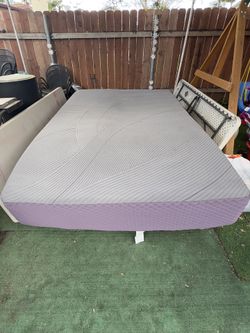 Purple Restore Premier - Queen / Soft