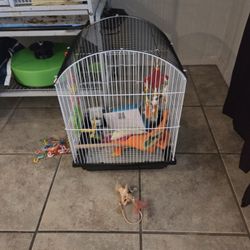 Bird Cage