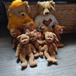 Beanie  Bear Family 