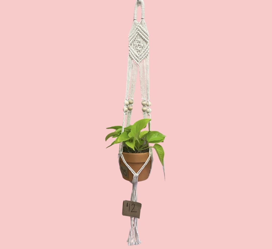 Handmade Macrame Plant Hanger