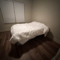 2 Amazon Bed + Platform 