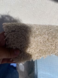 Tan Carpet