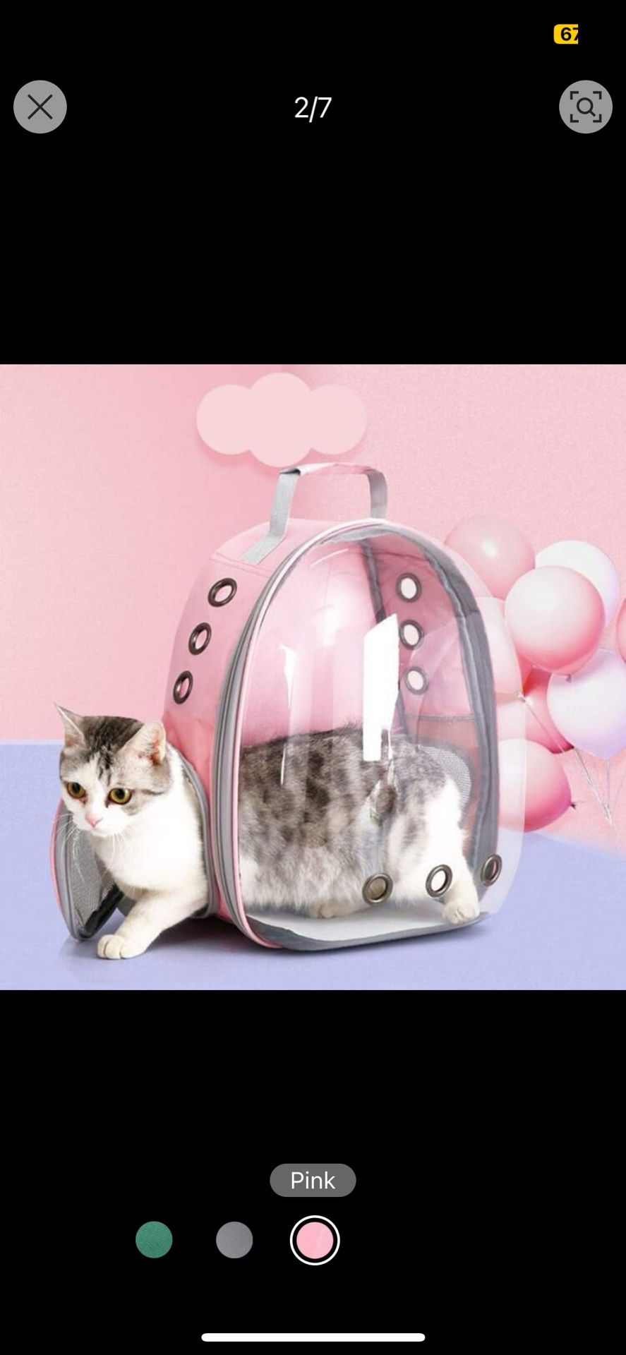 Cat Carrier