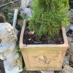 Large Clay Pots.  Each