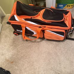 3 BALL BOWLING BAG