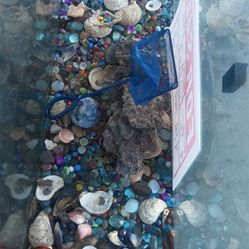 Fish Tank For Sale   $100  OBO Happy Valentine Day Sale $$$$