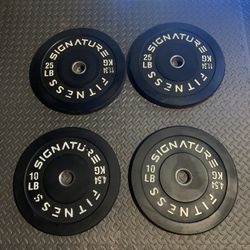 Weight Plates 70 Total 