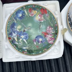 Decorative Hummingbird Plate 