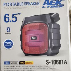 AEK Cyber Portable Speaker