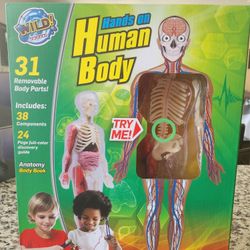 Wild Science Hands On Human Body