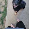 Jax