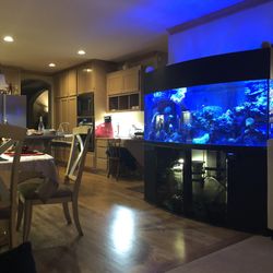 Fish Tank. Black. 200 Gallon . 