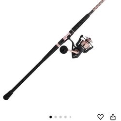 PENN Passion II Spinning Reel and Fishing Rod Combo