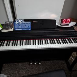 Brand new donner 100 Mint