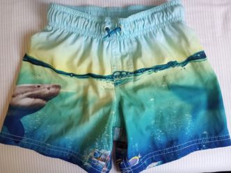 Swimming Gear 2T