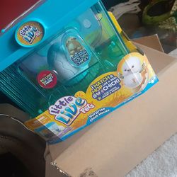 TOY'S GIRL'S TOY'S