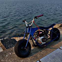 Mini Bike Predator 212 Swap 