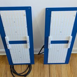 Horticulture Lighting Group HLG 260W QB V2 LED Grow Light