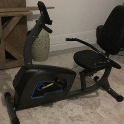 Recumbent Exercise  Bike Like New Winter Garden.