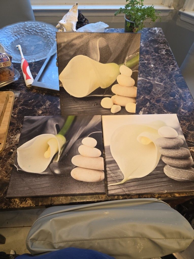 3 Decrorative Paintings