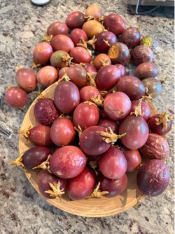 Home grown passion fruit