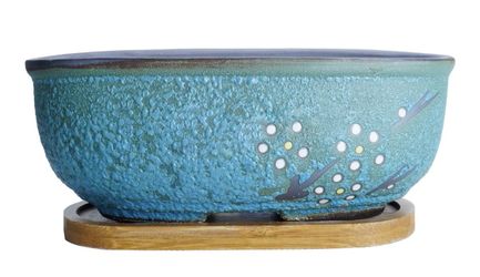 Succulent Ceramic Pot 7.9" with Tray NEW, PLANTS NOT INCLUDED