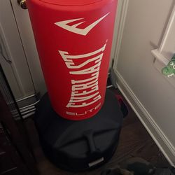 Everlast Punching Bag