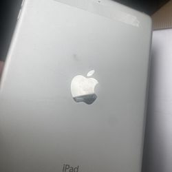 iPad Mini1