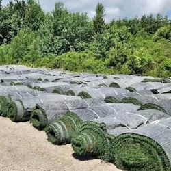 Nice Used Turf in SC!! $150 a roll 