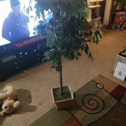 6 Foot Tall Fake Tree 
