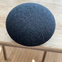 Google Home  Mini Voice Assistant