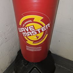 STAND UP PUNCHING BAG AND EVERLAST GLOVES 