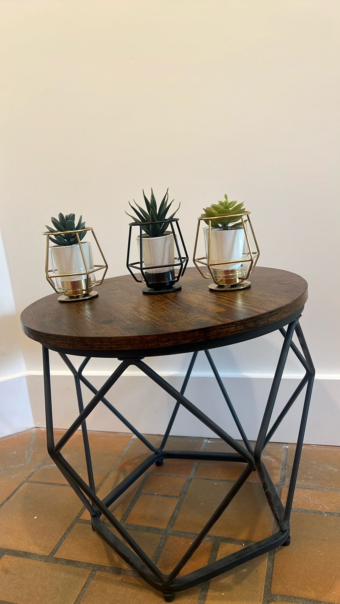 Set of 3 succulents with holder