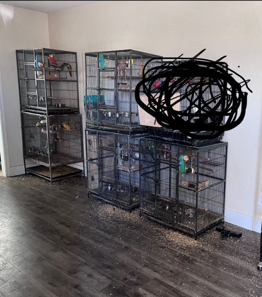 5 Matching Large Bird Cages