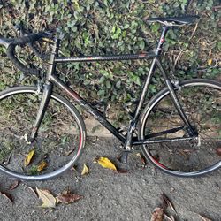 Carbon Fiber Bike Look 565
