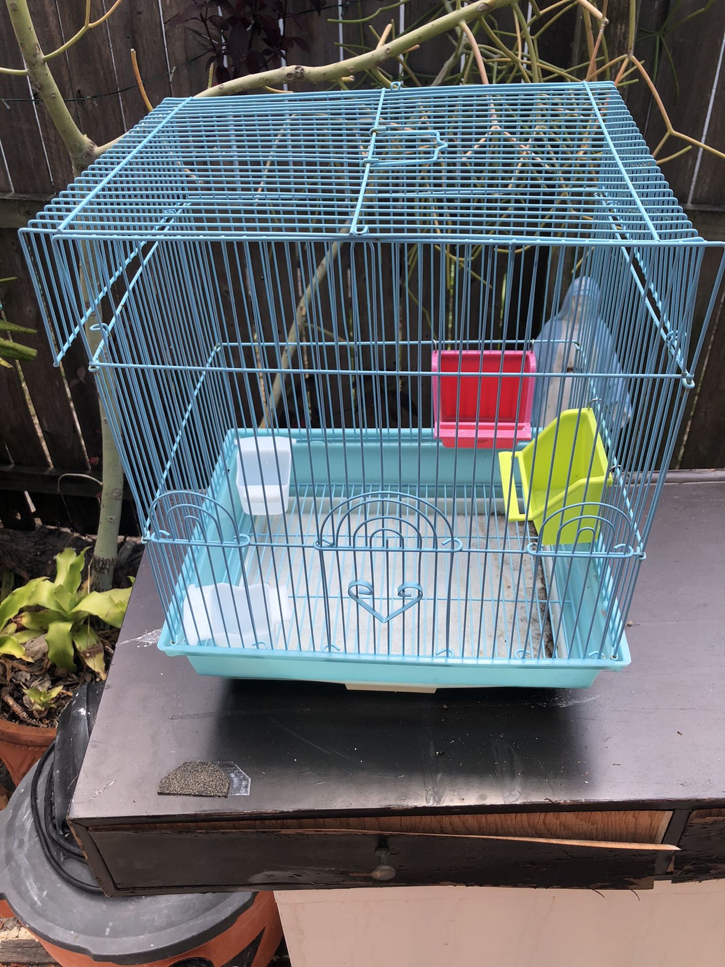 Bird Cage