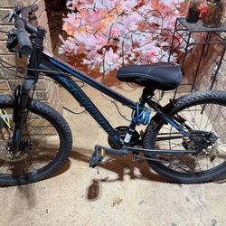 schwinn bike 21 speed