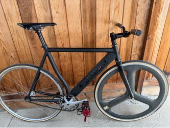 DODICI special 54cm
